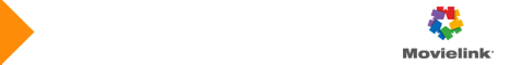 Movielink, LLC